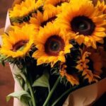 دانلود ریمیکس روی لباته یه رژ مات – ترند اینستایی